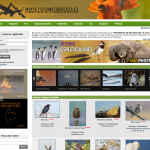 Foto Naturaleza - el primer sitio Web en Chile de Fotografía Natural